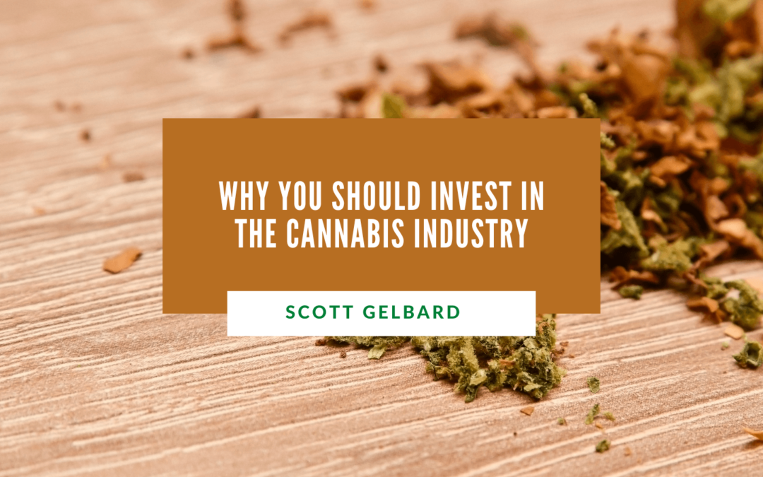 Scott Gelbard Why You Should Invest in the Cannabis Industry