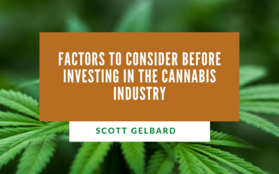 Factors to Consider Before Investing in the Cannabis Industry
