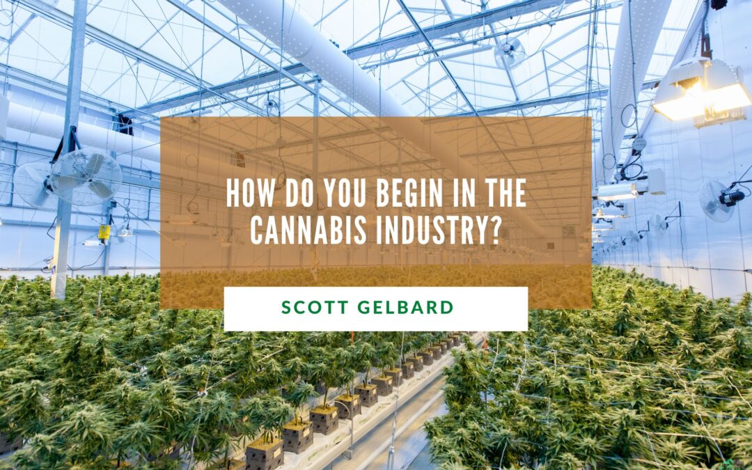 How Do You Begin in the Cannabis Industry?