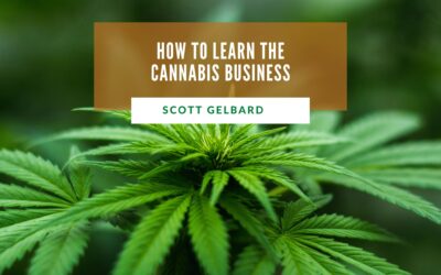 How to Learn the Cannabis Business