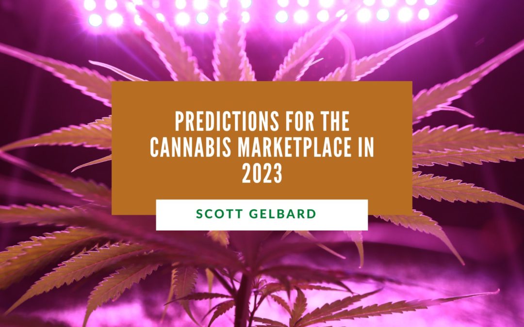 Predictions for the Cannabis Marketplace in 2023