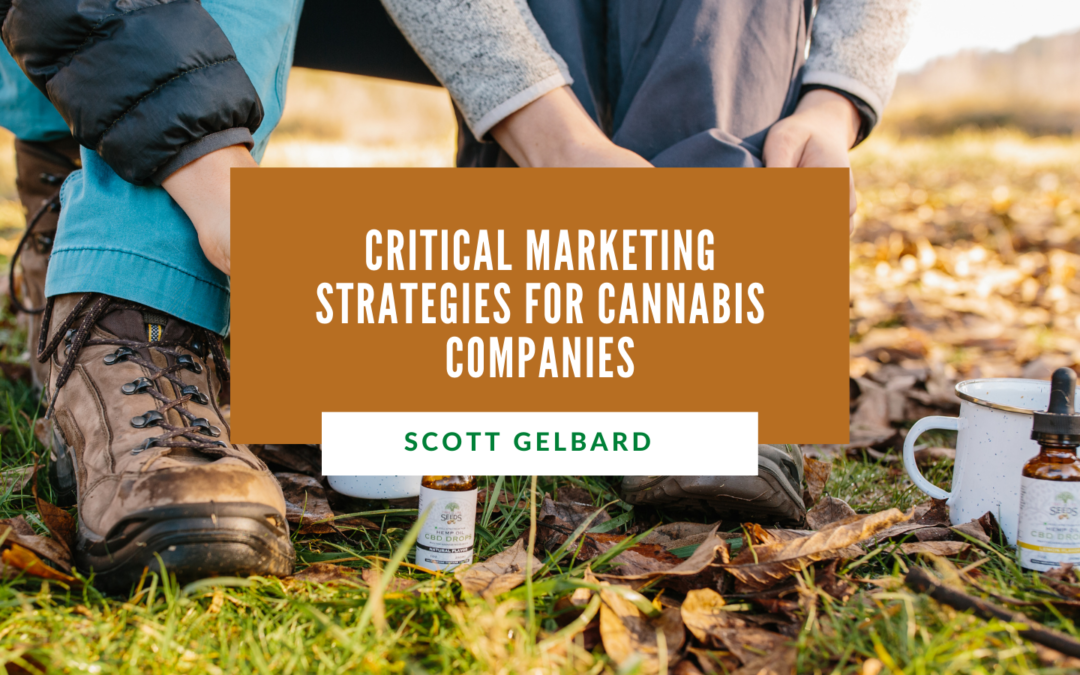 Scott Gelbard Critical Marketing Strategies for Cannabis Companies