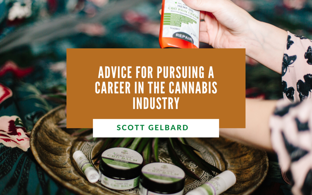 Scott Gelbard Advice for Pursuing a Career in the Cannabis Industry