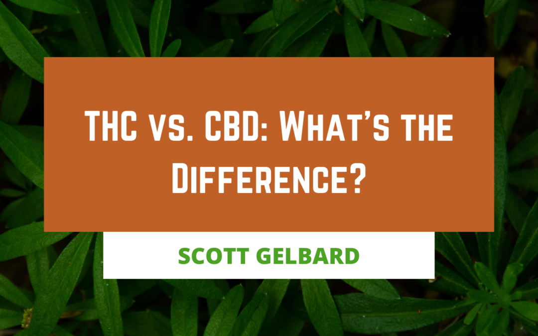THC vs. CBD: What’s the Difference?