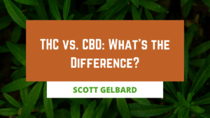 Thc Vs. Cbd What's The Difference (1)