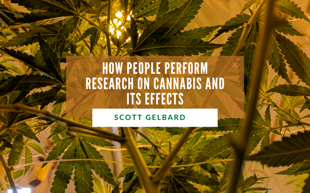 How People Perform Research on Cannabis and Its Effects