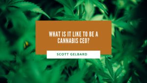 What Is it Like to Be a Cannabis CEO
