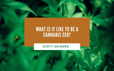 What Is it Like to Be a Cannabis CEO?